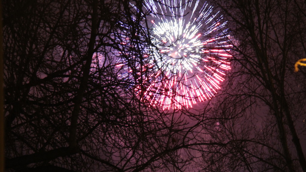 Fireworks Behind Tree